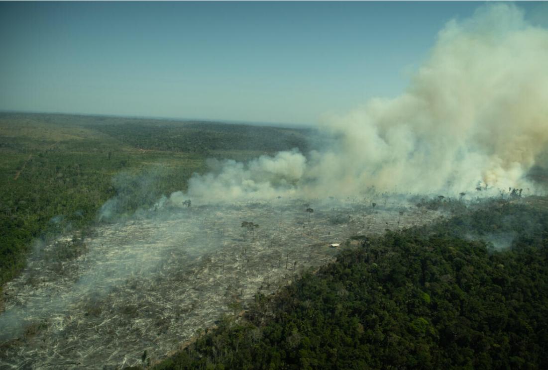 Em Sobrevoo Pela Amaz Nia Greenpeace Flagra O Avan O Do Fogo Sobre A