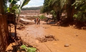 Read more about the article Mais um desastre ambiental no Brasil