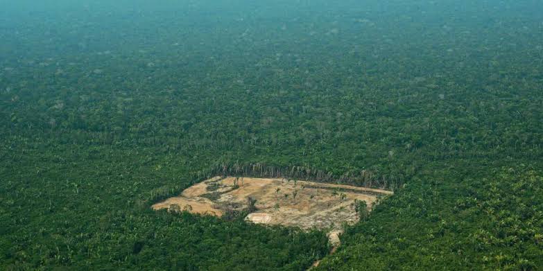 Você está visualizando atualmente Governo Federal quer usar fundo da Amazônia para indenizar desapropriações