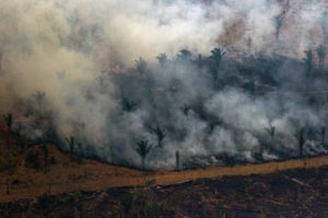 Leia mais sobre o artigo Bolsonaro determina por meio de decreto a proibição de queimadas por 60 dias