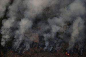 Read more about the article Secretário da Onu afirma preocupação com incêndios na Floresta Amazônia 