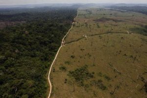 Read more about the article Ministra Alemã vai suspender investimento de R$ 155 milhões para Amazônia