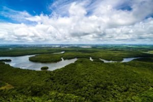 Read more about the article Frente Parlamentar em Defesa da Amazônia abre discussão sobre soberania da região e combate às queimadas