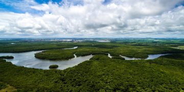 Frente Parlamentar em Defesa da Amazônia abre discussão sobre soberania da região e combate às queimadas