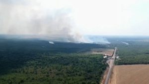 Read more about the article Exército Brasileiro vai atuar durante 60 dias em Apuí para combater focos de queimadas