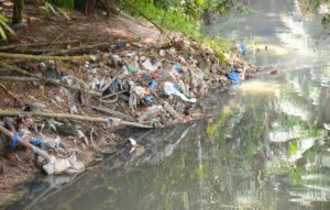 Read more about the article Fausto Jr. cobra serviço de limpeza dos rios e igarapés por parte da prefeitura de Manaus
