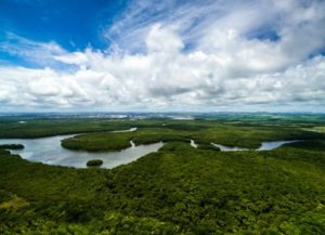 Read more about the article MPF pede revogação do decreto de Bolsonaro que liberou plantação de cana-de-açúcar na Amazônia