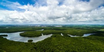 MPF pede revogação do decreto de Bolsonaro que liberou plantação de cana-de-açúcar na Amazônia