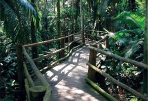 Leia mais sobre o artigo A capital amazonense ganhará bosque temático e ecológico