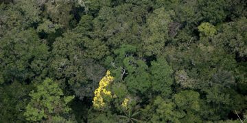 Amazonas tem redução no número de focos de queimadas pelo segundo mês consecutivo