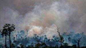 Investidores manifestam a embaixadas do Brasil preocupação com desmatamento na Amazônia