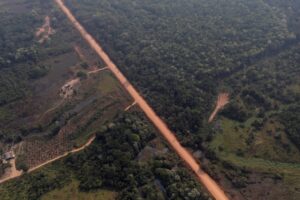 Leia mais sobre o artigo Plínio Valério quer o fim do isolamento do Amazonas e cobra pavimentação da BR-319