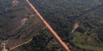 Plínio Valério quer o fim do isolamento do Amazonas e cobra pavimentação da BR-319