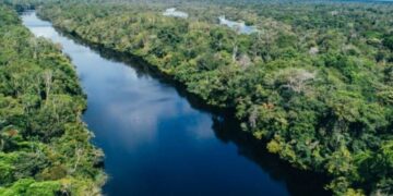 Presidente do Santander defende agenda de desenvolvimento para Amazônia