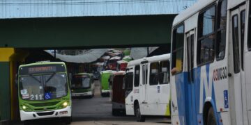 Vereador denuncia empresas de ônibus por não cumprirem obrigações trabalhistas