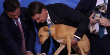 Bolsonaro sanciona lei que aumenta pena contra maus-tratos a animais
