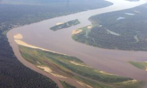 Leia mais sobre o artigo Governo Federal prepara concessões para PPI na Amazônia