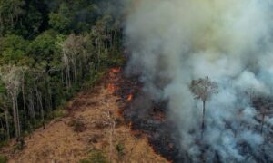 Read more about the article Queimadas na Amazônia provocaram duas mil internações no SUS em 2019, aponta relatório