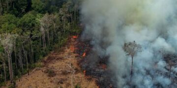 Queimadas na Amazônia provocaram duas mil internações no SUS em 2019, aponta relatório