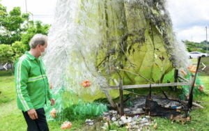 ‘Minha Manaus é da construção e não destruição’, diz Arthur Neto sobre ato de vandalismo em árvore natalina