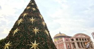 Leia mais sobre o artigo Governo do AM corrige valor e vai gastar R$ 1,5 milhão em decoração de Natal