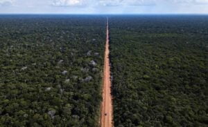 Leia mais sobre o artigo Justiça suspende licitação da BR-319 e parlamentares do Amazonas criticam decisão