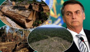Read more about the article Bolsonaro vai encarar líderes mundiais na Cúpula do Meio Ambiente