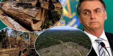 Bolsonaro vai encarar líderes mundiais na Cúpula do Meio Ambiente