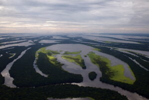 Leia mais sobre o artigo Governo inclui nove unidades de conservação; duas do Amazonas em lista de desestatização