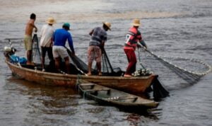 Read more about the article Pescadores de todo AM vêm a Manaus para escolher presidência da Fepesca