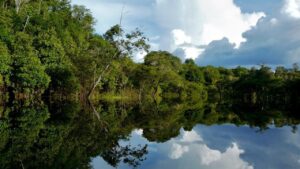 Read more about the article Governo realiza Fórum de Inovação em Investimentos na Bioeconomia Amazônica