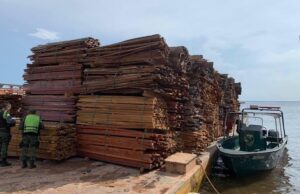 Leia mais sobre o artigo STF suspende processos sobre madeira ilegal na Justiça do Amazonas