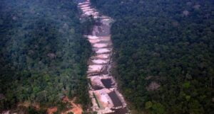 Leia mais sobre o artigo Desmatamento na Amazônia bate novo recorde