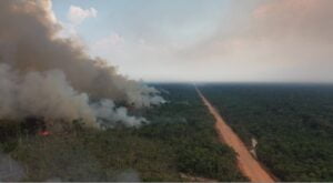 Read more about the article Inspeção técnica do TCE-AM identifica focos de incêndio em municípios do Sul do AM