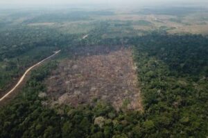 Fórum Brasileiro de Segurança Pública divulga estudo sobre violência na Amazônia