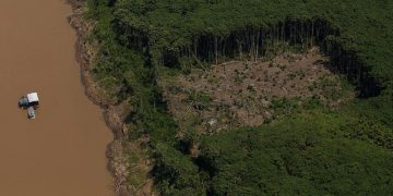 Os bilhões do Fundo Amazônia seguirão paralisados