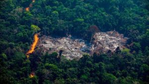 Leia mais sobre o artigo Desmatamento em áreas que deveriam ser protegidas aumentou em 79% em 3 anos de gestão Bolsonaro, diz levantamento