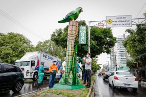 Leia mais sobre o artigo Prefeitura de Manaus cria zona de controle para proteger periquitos