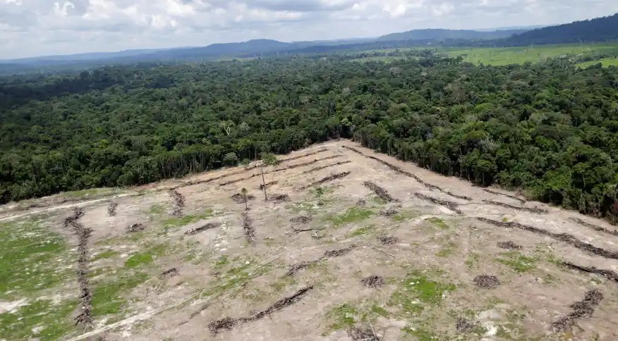 You are currently viewing Desmatamento na Amazônia cresce 56,6% nos últimos três anos, segundo Ipam