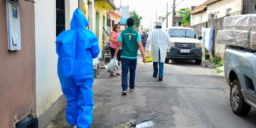 Manaus notifica 80 casos de esporotricose humana e Semsa faz levantamento da doença em gatos