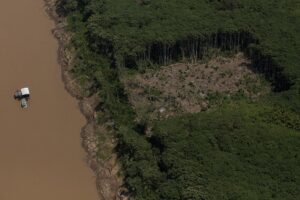 Leia mais sobre o artigo Amazônia Legal tem maior desmatamento em 15 anos, diz estudo