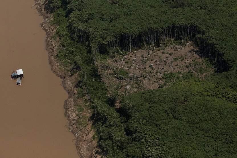 Você está visualizando atualmente Amazônia Legal tem maior desmatamento em 15 anos, diz estudo