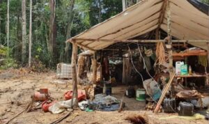 Leia mais sobre o artigo Garimpeiros tentam voltar à Terra Yanomami, diz presidente do Ibama