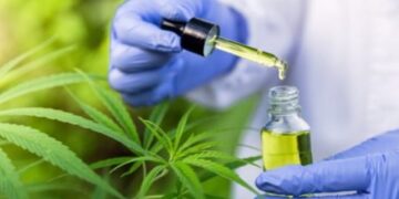 STJ autoriza plantio de 354 pés de cannabis para que homem trate ansiedade