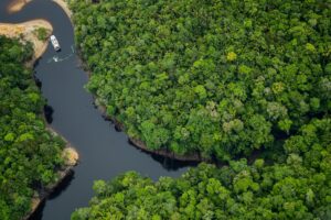 Leia mais sobre o artigo Amazonas é o melhor lugar do mundo para o ecoturismo, aponta a revista americana Forbes