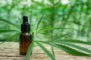 Leia mais sobre o artigo STJ garante salvo-conduto para cultivo de cannabis medicinal￼