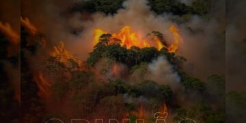 Opinião | Com Lula, Amazonas tem pior mês de fogo no ano