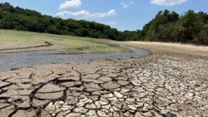 Leia mais sobre o artigo Manaus registra a pior seca da história com nível do Rio Negro em 13,59 metros