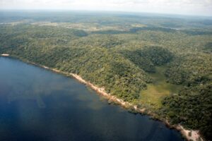Leia mais sobre o artigo Imazon aponta redução de 66% no desmatamento no Amazonas