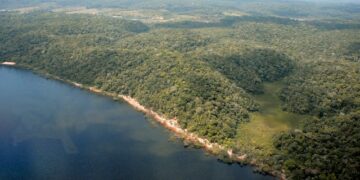 Imazon aponta redução de 66% no desmatamento no Amazonas